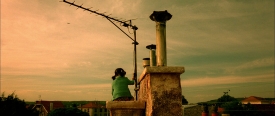 amelie089
