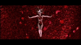 americanbeauty20