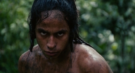 apocalypto290