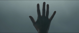 Arrival_297