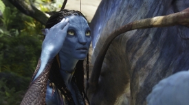 avatar251