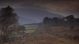 barrylyndon085