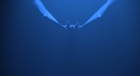 BatmanForever_1638