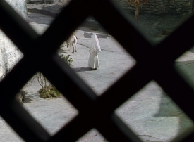 blacknarcissus103