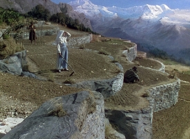 blacknarcissus110