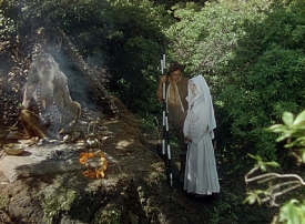 blacknarcissus146