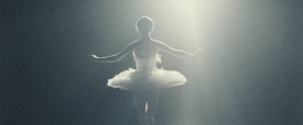 black-swan-007