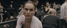 black-swan-024
