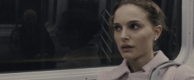black-swan-167