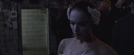 black-swan-258