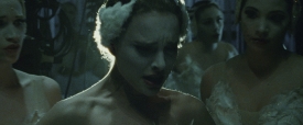 black-swan-263