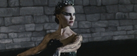 black-swan-271