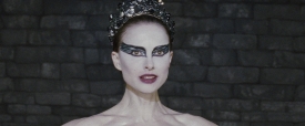 black-swan-273