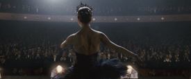 black-swan-274