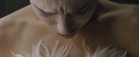 black-swan-280