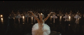 black-swan-283