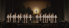 black-swan-284