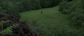braveheart116