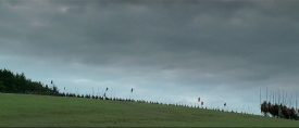 braveheart213