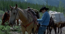 Brokeback_195