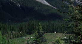 Brokeback_196