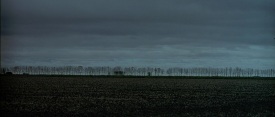 Capote_014