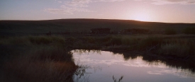 danceswithwolves104