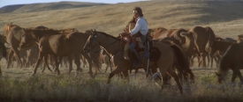 danceswithwolves183