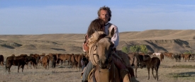 danceswithwolves185