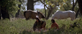 danceswithwolves390