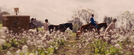 djangounchained110