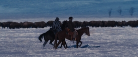 djangounchained207