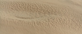 Dune_1214