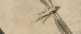 Dune_2061