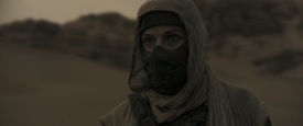 Dune_2313