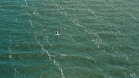 Dunkirk_180