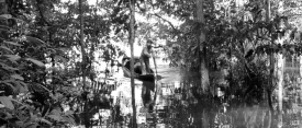 EmbraceOfTheSerpent 0051