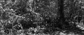 EmbraceOfTheSerpent 0642