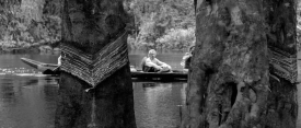 EmbraceOfTheSerpent 0974