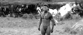 EmbraceOfTheSerpent 1001