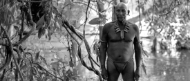 EmbraceOfTheSerpent 1232