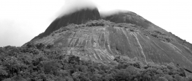 EmbraceOfTheSerpent 1957