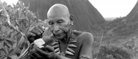 EmbraceOfTheSerpent 1991