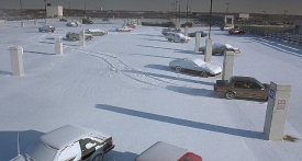 fargo137