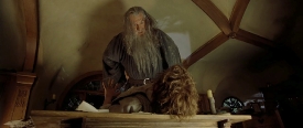fellowship127