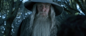 fellowship130