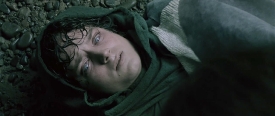 fellowship252