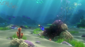 nemo061