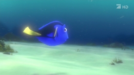 nemo062