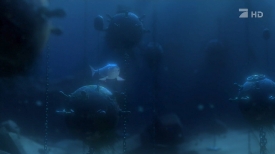 nemo074